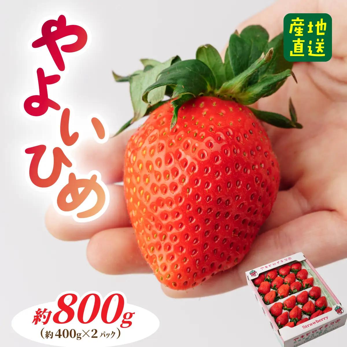 いちご やよいひめDX 800g（箱入り）いちご 群馬県 前橋市