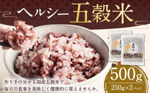 【2025年11月上旬より発送開始】 ヘルシー五穀米 250g×2袋  計500g 五穀米 雑穀米 雑穀 五穀 米 お米 黒米 押し麦 麦 もち麦 玄米 赤米 ブレンド 常温 お取り寄せ 国産 九州産 熊本県 湯前町