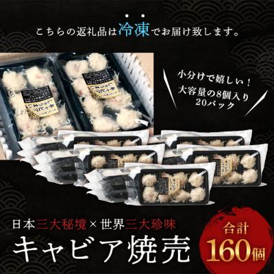 ふるさと納税 椎葉村 【日本三大秘境×世界三大珍味】平家キャビアが焼売に!!キャビア焼売8個入り×20パック合計160個 |  | 02