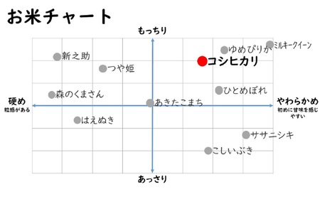 新米先行予約【5ヶ月定期便・11月～発送】コシヒカリ 無洗米 5kg（ペットボトル米 300g 1本付き）×5回 （計 26.5kg）重ちゃんのお米 令和7年産 [Y0077]