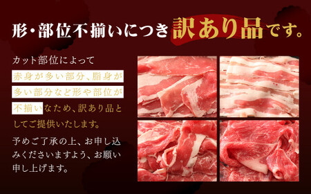 博多和牛 切り落とし1.2kg＋「博多和牛の黄金カレー」1食付き セット