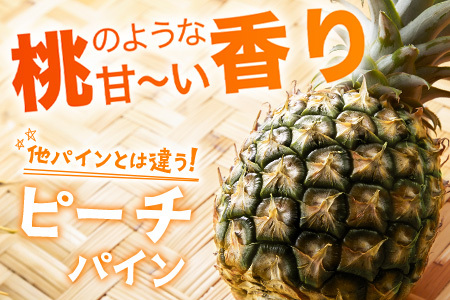 【予約受付】ピーチ＆ポコットパイン食べ比べ 1ｋｇ（計２玉）お勧め♪川平パイン《2025年5月～7月頃順次発送》KN-5