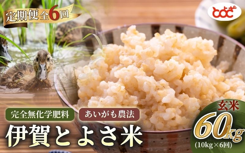【ふるさと納税】 【定期便】完全無化学肥料 あいがも農法 伊賀とよさ米【玄米】10kg×年6回