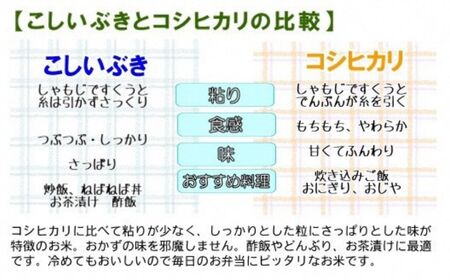 【12ヶ月定期便】『新潟産こしいぶき』5kg×12回お届け(計60kg) プロが認めたうまい米 令和5年産 新潟産コシイブキ 新潟県糸魚川産 農家直送 おいしいお米をお届けします。