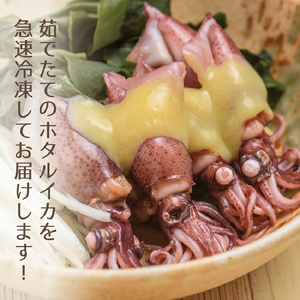 日本海産 ボイル ホタルイカ 計1kg（250g×4P）【冷凍】【ほたるいか 蛍烏賊 いか イカ 烏賊 海鮮 小分け グルメ おつまみ 肴】 [e04-a110]