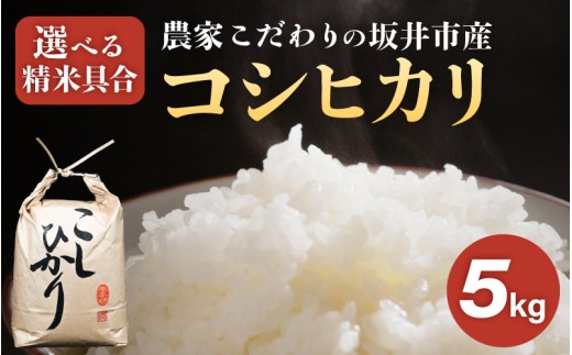 先行予約 【令和8年産】農家こだわりの坂井市産 コシヒカリ 5kg 【白米】2026年10月上旬以降順次発送 【米 コメ お米 5キロ こしひかり ふるさと納税米 ブランド米 国産】 [A-10216_01]