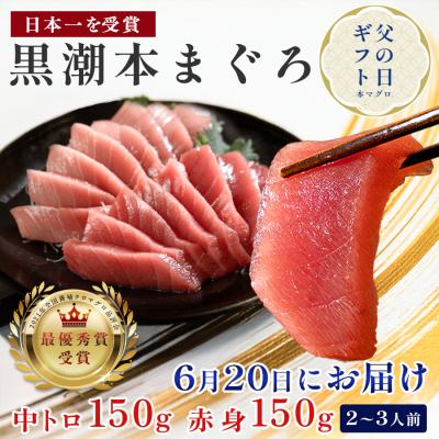 ふるさと納税 大月町 【父の日】6月20日お届け限定 本マグロ 中トロ・赤身 食べ比べ 日本一