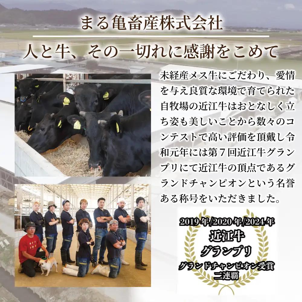 近江牛サーロイン　ステーキ・焼肉用（200g×2枚）【FK12W】