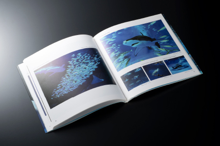 AQUAS アクアスの仲間たち 小林茂雄写真集｜本 写真集 しまね海洋館アクアス 海洋館 水族館 海の生き物 生き物 イルカ ペンギン サメ エイ 子供 孫 KS-1