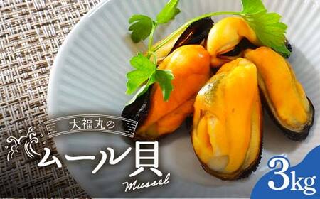 【9月以降順次発送】大福丸のムール貝 3kg【三陸山田産】【配送日指定不可】【沖縄・離島配送不可】三陸山田 山田町 山田湾 海産品 しゅうり貝 海鮮 シーフード おつまみ 殻付き 酒蒸し パスタ パエリア ワイン蒸し