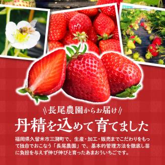 いちご あまおう 2パック 2箱 計4パック 果物 フルーツ 福岡 久留米 九州産 長尾農園 ストロべリー お取り寄せ お取り寄せフルーツ 食品 食べ物 おやつ お菓子作り 送料無料