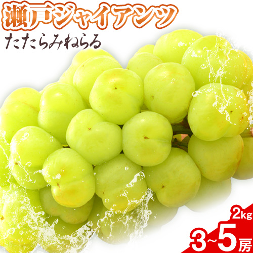 【先行予約】たたらみねらる 瀬戸ジャイアンツ 約2kg(3~5房)《2026年8月下旬-10月下旬頃出荷予定》 Y＆G.ディストリビューター株式会社 岡山県 笠岡市 マスカット ぶどう ブドウ 葡萄 フルーツ 果物---4-10b---