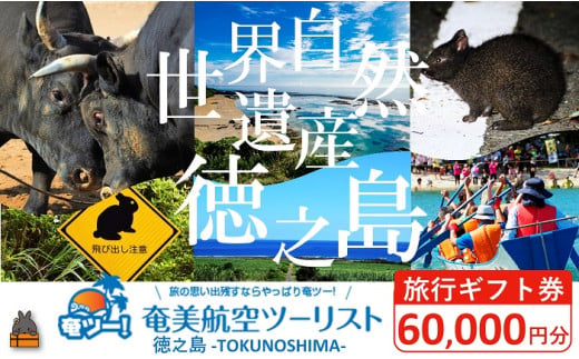 2309 奄美航空ツーリスト徳之島営業所 旅行ギフト券（60,000円分）（ 旅行会社 地元旅行会社 旅行クーポン 航空券 フェリー 徳之島 奄美 鹿児島 世界自然遺産 奄美航空ツーリスト 奄ツー！ 徳之島営業所 旅行パック 飛行機 船 宿泊 ホテル )