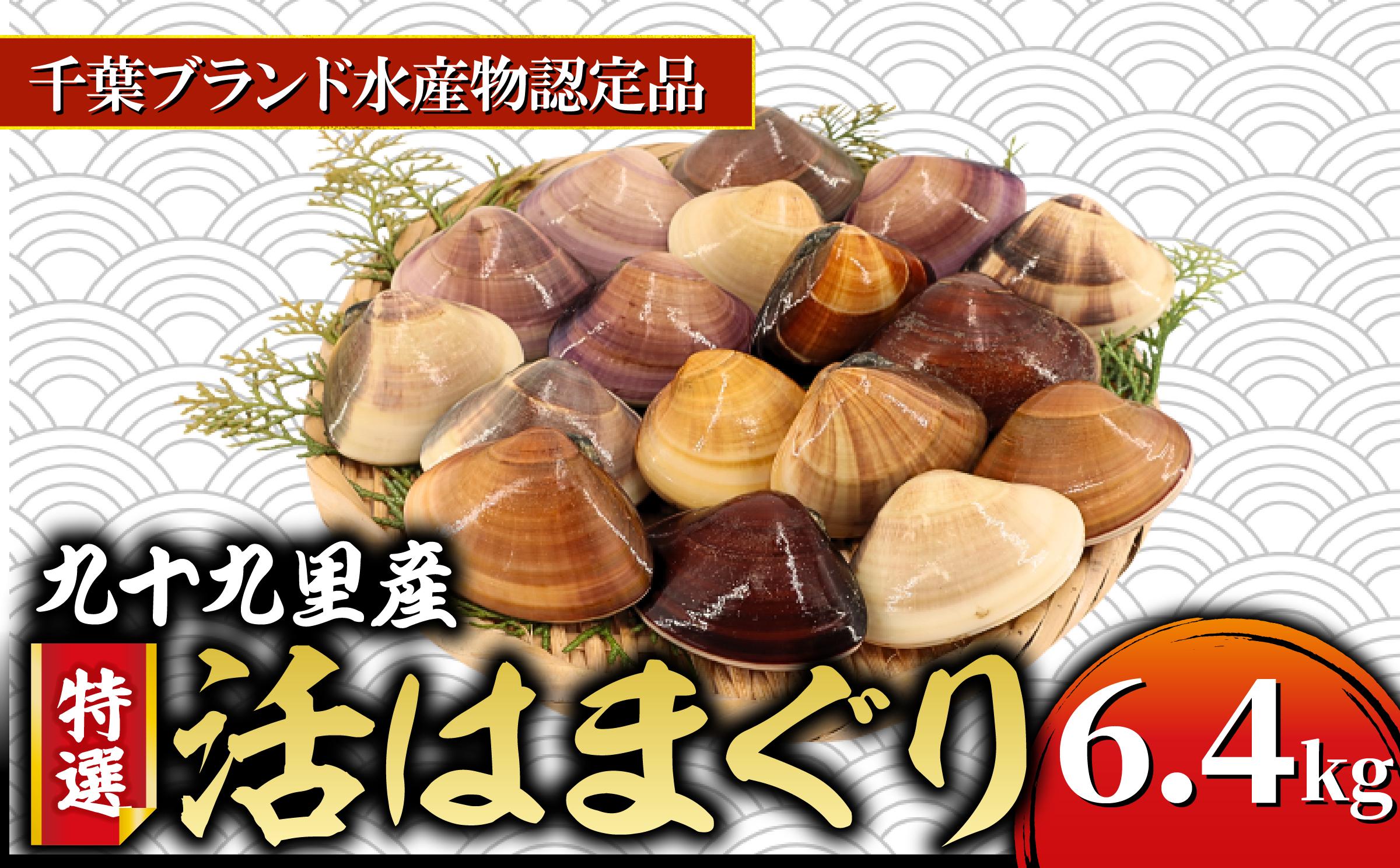 ≪千葉ブランド水産物認定品≫　　　　　　九十九里産活けはまぐり約6.4kg/68～88個
