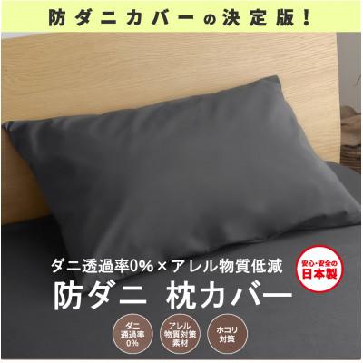 ふるさと納税 西脇市 【シキボウ】防ダニ枕カバー2枚セット　ブラック