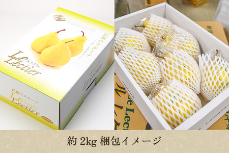 【2025年先行予約】新潟特産 幻の洋梨ル・レクチェ【青秀品】約2kg《11月下旬～お届け》