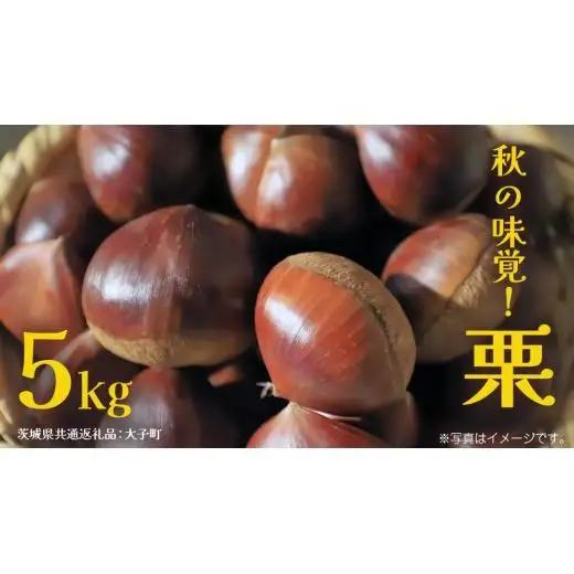 秋の味覚「 栗 」5kg【2026年9月上旬発送開始】(茨城県共通返礼品：大子町)
