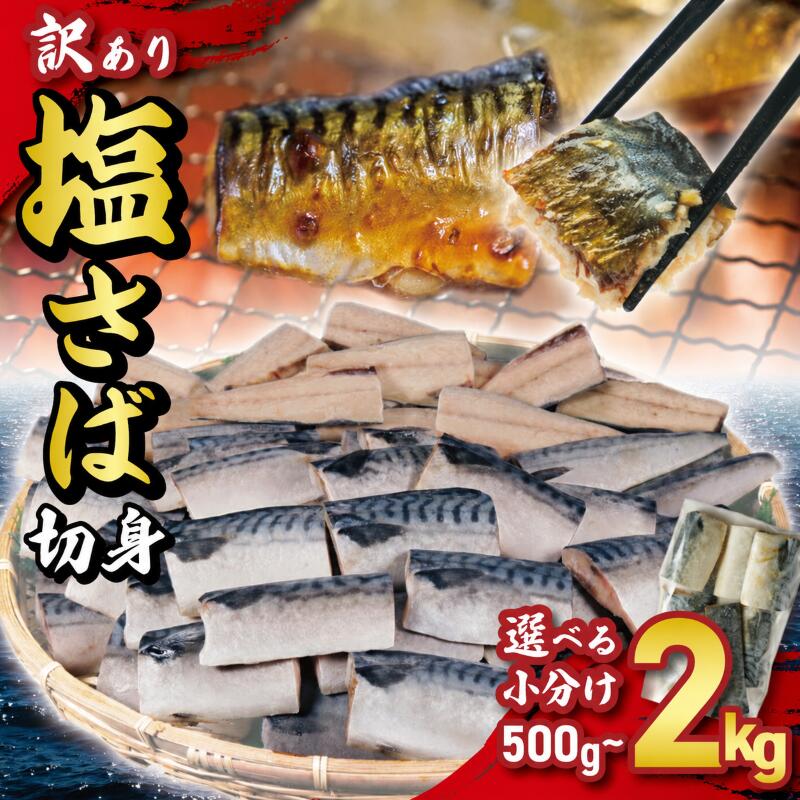 【ふるさと納税】 訳あり サバ 塩サバ 切り身 約 500g 1kg 2kg ノルウェー産 小分け サバ 鯖 塩鯖 切身 海鮮 大容量 たっぷり 規格外 青魚 おかず 惣菜 焼魚 魚介 魚貝 おつまみ 弁当 人気 グルメ お取り寄せ ふるさと納税鯖 冷凍 送料無料 千葉県 銚子市 大一奈村