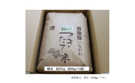 ＜令和6年産＞猪名川町のお米コシヒカリ(精米)約27kg【1514236】