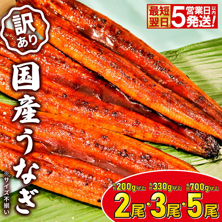 さかい河岸水産の国産うなぎ 3尾(300g以上) 訳あり サイズ不揃い