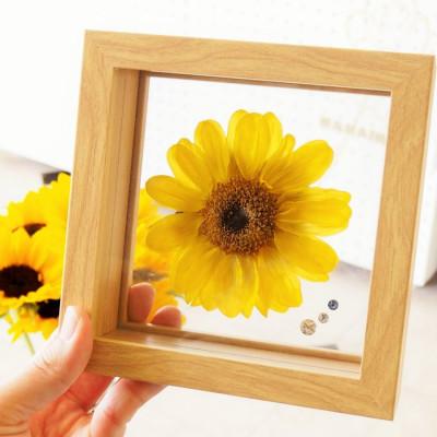 ふるさと納税 中央市 枯れないひまわりプリザーブドフラワーフレーム 元気が出るお花 |  | 01