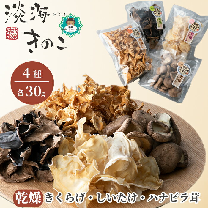 【ふるさと納税】【D-710】共栄精密　淡海きのこ　乾燥きのこセット 乾燥きくらげ・乾燥しいたけ・乾燥ハナビラ茸（よかもんパッケージ入り）［高島屋選定品］