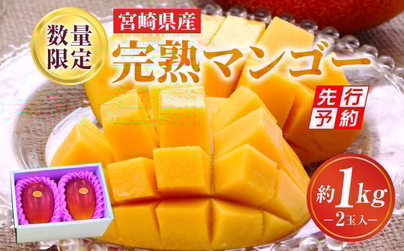 
                  《2025年発送先行予約》【期間・数量限定】完熟マンゴーA3L_M056-001_17
                