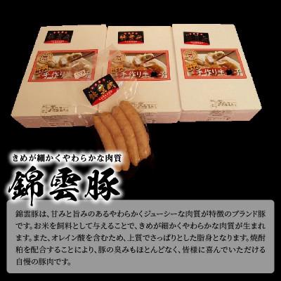 ふるさと納税 上毛町 【ブランド豚肉】お米育ちの錦雲豚　手作り生餃子60個(ソーセージ1パック付き) |  | 01