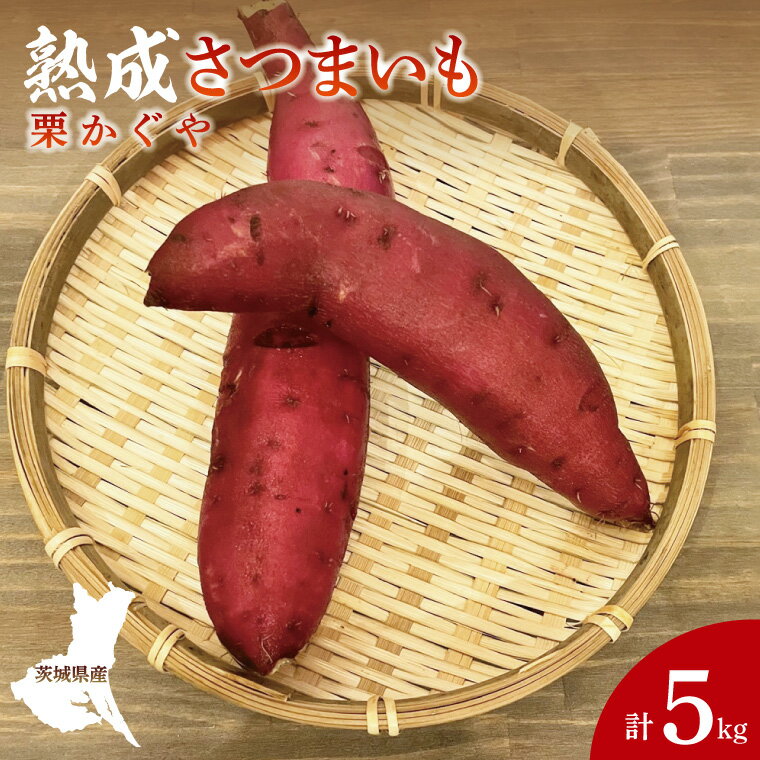 【ふるさと納税】【先行予約】【10月中旬より順次発送予定】熟成さつまいも 栗かぐや 5kg｜茨城県 大子町 サツマイモ 芋 甘い ホクホク 野菜 数量限定 5キロ 旬（CH004）