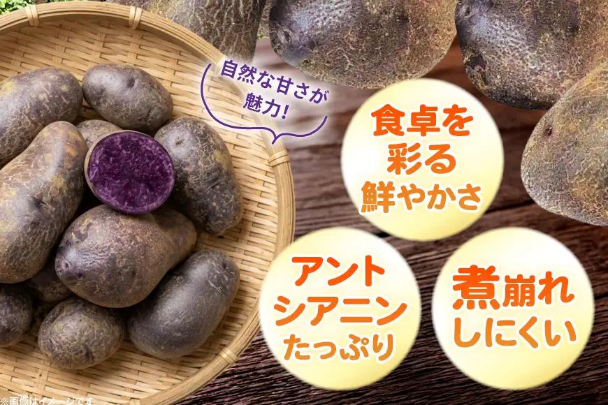 じゃがいも シャドークイーン 5kg