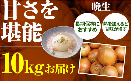 【先行予約 2027年5月～発送】農家直送 玉ねぎ 約10kg / 玉ねぎ [IAO001]