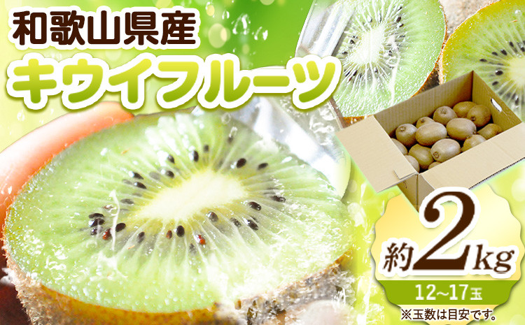 
和歌山県紀の川市産 キウイ約2kg(12～17玉) ときわオンライン《12月下旬-5月中旬頃出荷》 和歌山県 紀の川市 キウイ キウイフルーツ 果物 フルーツ 送料無料
