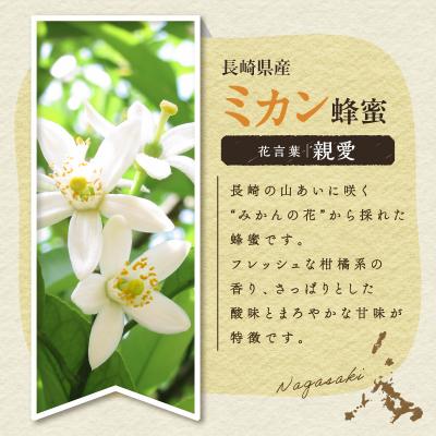 ふるさと納税 鹿児島市 ハニーワイン meadol ミカン 300ml(Alc.12.5% やや辛口)　K105-009 |  | 01