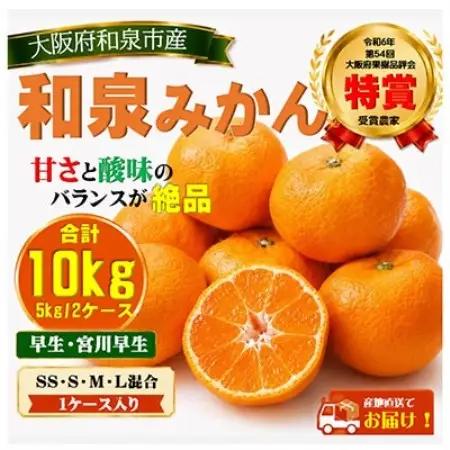 先行予約　大阪府和泉市産 宮川早生みかん5kg2ケース(1梱包) 11月中頃より発送【1672212】