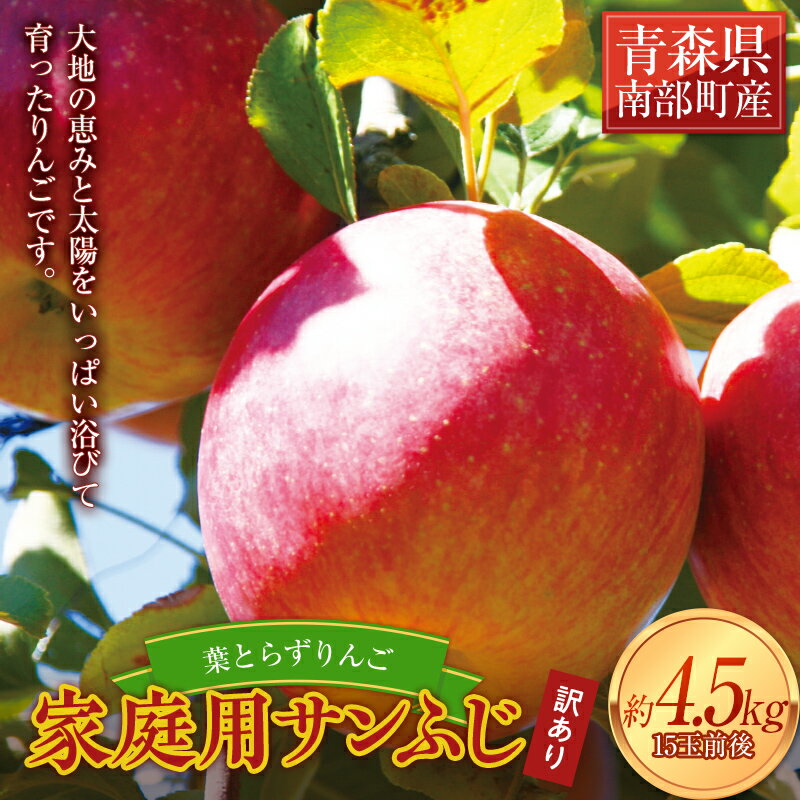 【ふるさと納税】《家庭用》 葉とらずりんご サンふじ 約4.5kg 【四戸農園】 減農薬 有機肥料 青森りんご リンゴ 林檎 アップル あおもり 青森 青森県 南部町 果物 くだもの フルーツ 訳あり 訳アリ わけあり 規格外 F21U-504