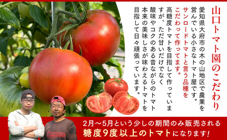【先行予約 2026年2月～5月出荷予定／限定50箱】全国トマト選手権銅賞受賞トマト『銀丸山口トマト』高糖度トマト　L~Mサイズ