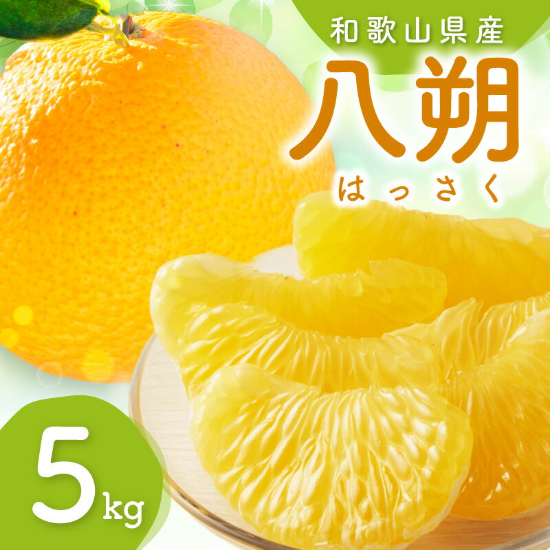 【ふるさと納税】和歌山県産八朔約5kg（ご家庭用）