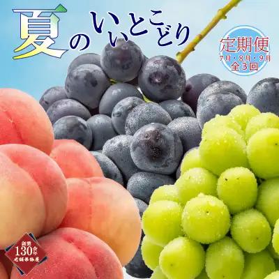 【全3回】フルーツ定期便 夏のいいとこどり フルーツ 定期便