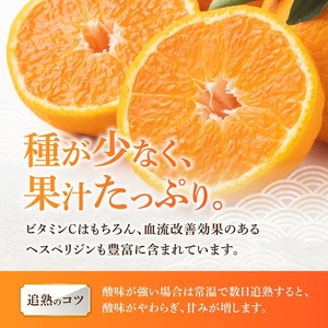 宮崎県川南町産「不知火（しらぬい）」６～１０玉 【 先行予約 季節限定 果物 フルーツ 不知火 みかん 】