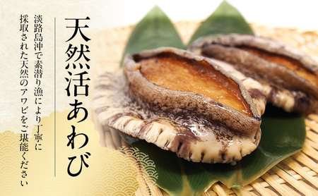 天然 活 あわび 2～3個入り 刺身 黒あわび 赤あわび 貝 冷蔵配送 兵庫県 洲本市 淡路島