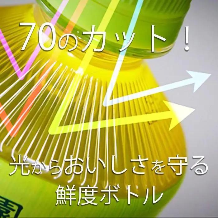 お～いお茶　緑茶　280ml×２ケース（48本）