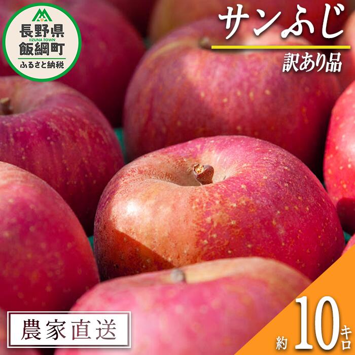 【ふるさと納税】 りんご サンふじ 訳あり 10kg マルカズりんご農園 沖縄県への配送不可 令和7年度収穫分 長野県 飯綱町 〔 傷 不揃い リンゴ 林檎 果物 フルーツ 信州 長野 19000円 予約 農家直送 〕発送時期：2025年11月下旬〜2025年12月下旬