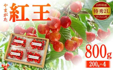 【2027年先行予約】山形県産 さくらんぼ やまがた紅王 特秀品 2Lサイズ 800g（200g×4） FSY-2147