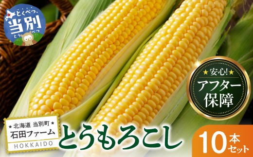 【数量限定】【2026年出荷】石田ファーム とうもろこし詰め合わせ10本セット 朝採り 野菜 新鮮 夢のコーン 甘獲娘 スターダスト 恵味ゴールド 恵味スター ほしつぶコーン わくわくコーン ロイシーコーン 旬の品種 10本 トウモロコシ キャンプ BBQ SDGs 詰合せ