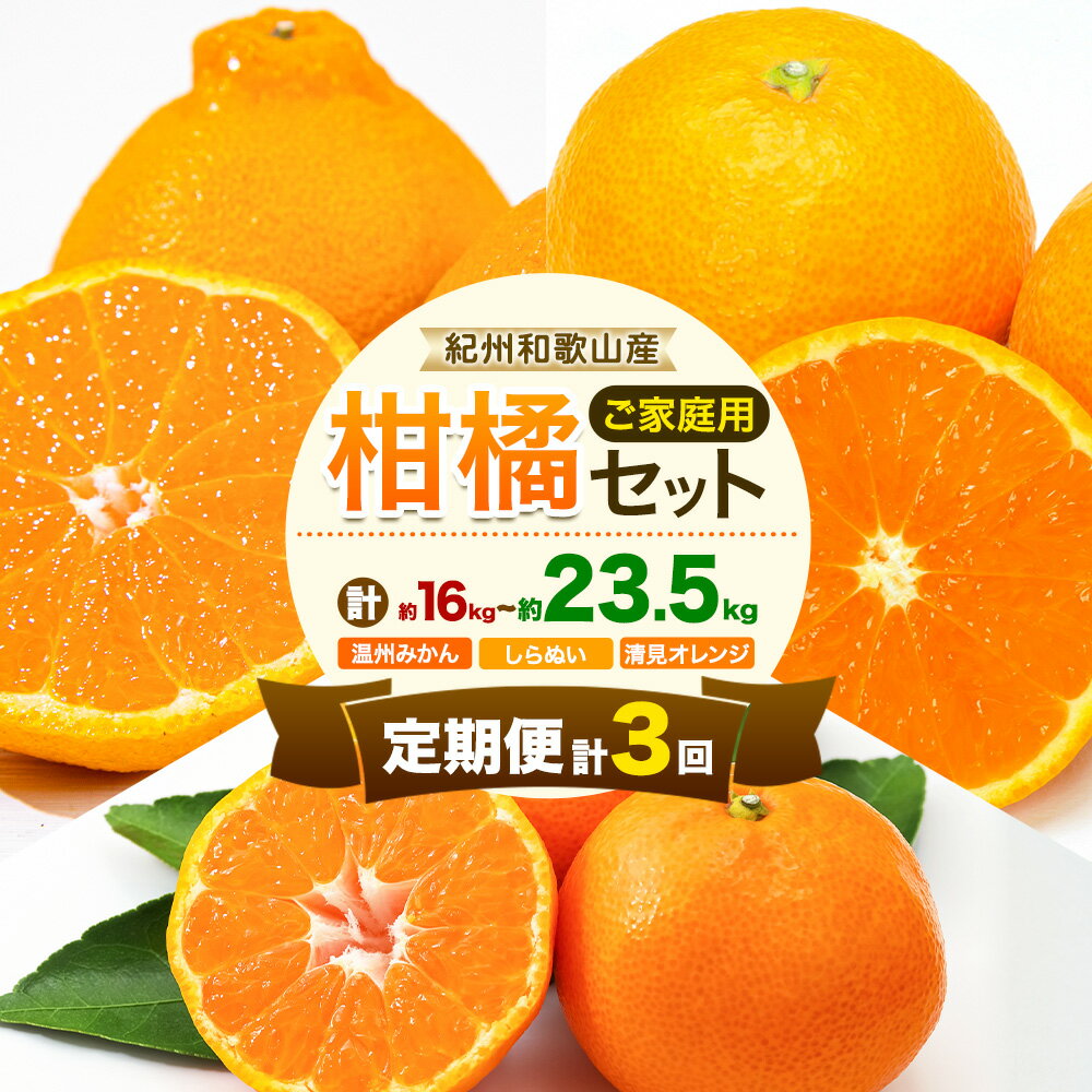 【ふるさと納税】【発送月固定定期便】紀州 和歌山産 旬の ご家庭用 柑橘 セット (みかん 不知火 清見)【全3回】選べる 計16kg 計23.5kg 株式会社魚鶴《1月上旬-4月上旬頃出荷》 和歌山県 日高川町 みかん 不知火 清見 オレンジ 柑橘 蜜柑 果物 訳あり 送料無料 定期便