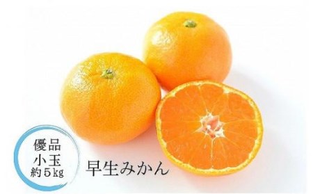 【11月中に発送予定】温州みかん「早生」＜優品・小玉＞約5kg【KK0521】