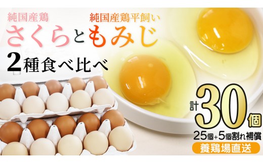 
                  純国産鶏【さくらともみじ】純たまご 30個入り 破損保証5個を含む【たまご 卵 玉子 鶏卵 純たまご 採れたて 新鮮 卵 農地直送】(AJ031)
                