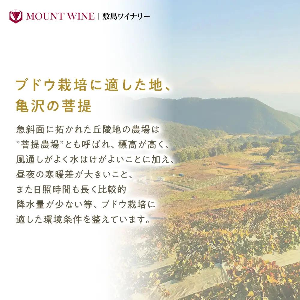 ベーリーAロゼスパークリング 720ml 敷島醸造 ワイン ロゼ ロゼワイン スパークリングワイン 辛口 山梨 甘口 日本ワイン 国産ワイン ぶどう ギフト お祝い 甲斐市 F-29