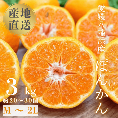 
            ＜南国を感じさせる独特の香り＞愛媛ポンカン 3kg＜C20-60＞【1620341】
          