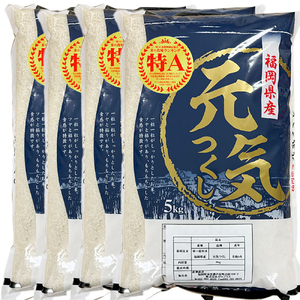 【先行予約】【令和7年産】元気つくし無洗米20kg(5kg×4袋)[BGAA095] 大容量 無洗米 元気つくし 大容量